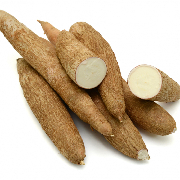 manioc